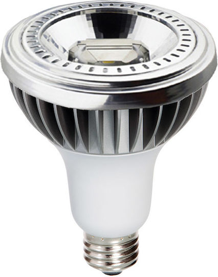 Diolamp LED Bulb 15W for Socket E27 and Shape PAR30 Cool White 750lm Dimmable