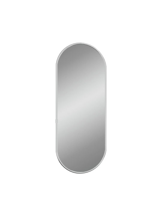 vidaXL Wandspiegel Oval mit Silber Glas Rahmen 20x50cm 1Stück