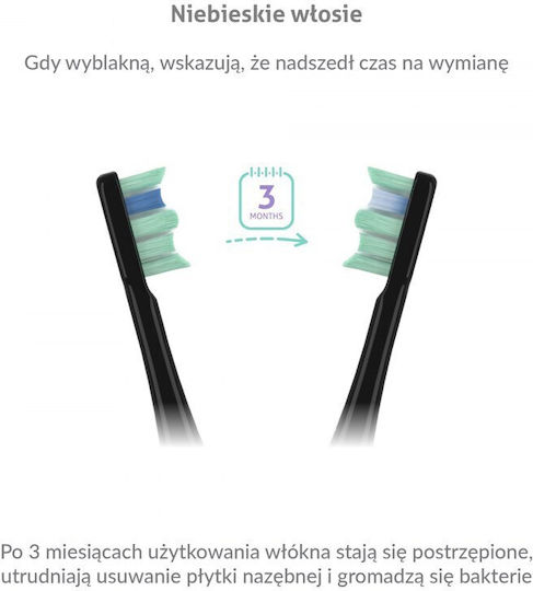 TrueLife Periuță de dinți electrică cu Husă de Călătorie 343381 Neagră