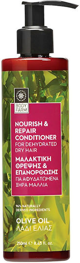 Bodyfarm Conditioner For Dry Hair Ενυδάτωσης για Ξηρά Μαλλιά 250ml