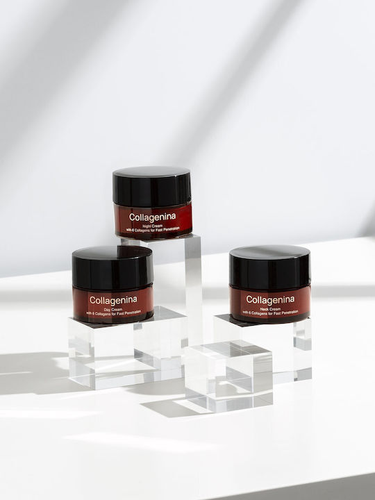 Labo Collagenina Grade 1 Skin Care Set for Firming