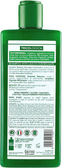 Equilibra Shampoos against Hair Loss for Fragile, Αντι-Θραύση Hair 300ml