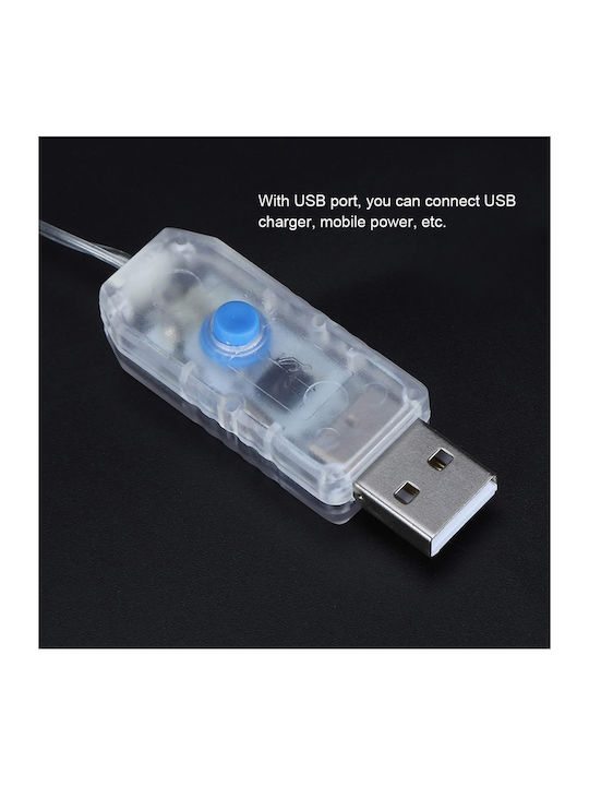 Lichterketten LED 3m. x 300cm Warmes Weiß USB Typ Vorhang 1Stück