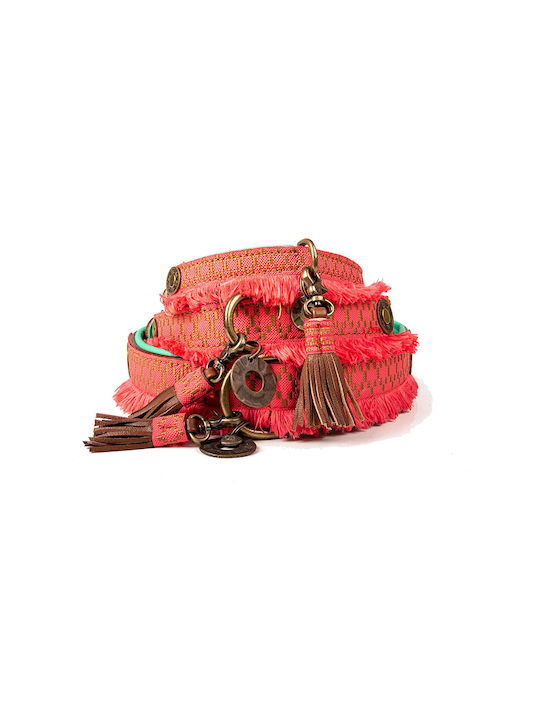 DWAM Hundehalsband in Orange Farbe