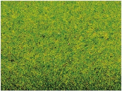 Noch Plant Mockup Grass Paper Mat