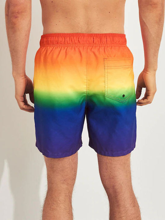 Hollister Hollister