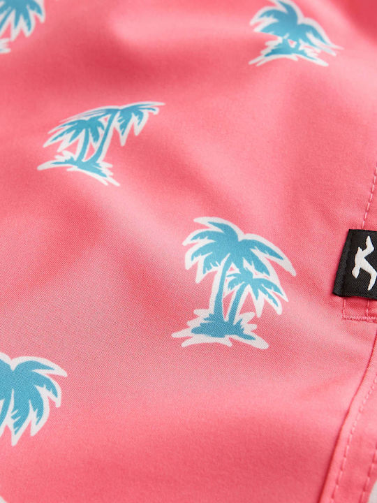 Hollister Hollister