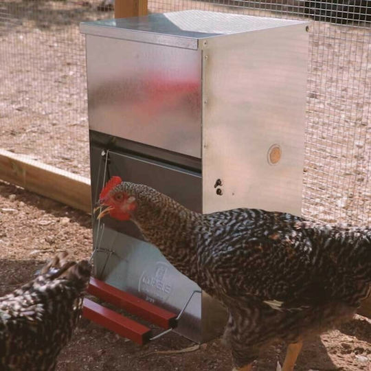 Copele Automatic Metal Feeder for Chickens and Poultry 41cm.