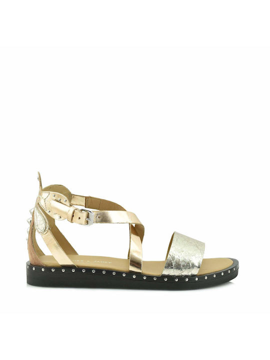 Janet & Janet Women's Flat Sandals with Strap in Gold Color