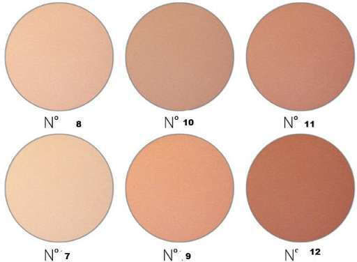 Revers Cosmetics True Coverage Face Powder Concealer No 12 9gr