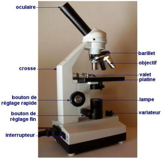 Novex Digital Educational Monocular Microscope 10xx