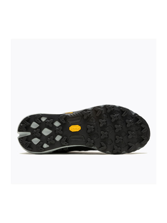 Sport Shoes Running Black