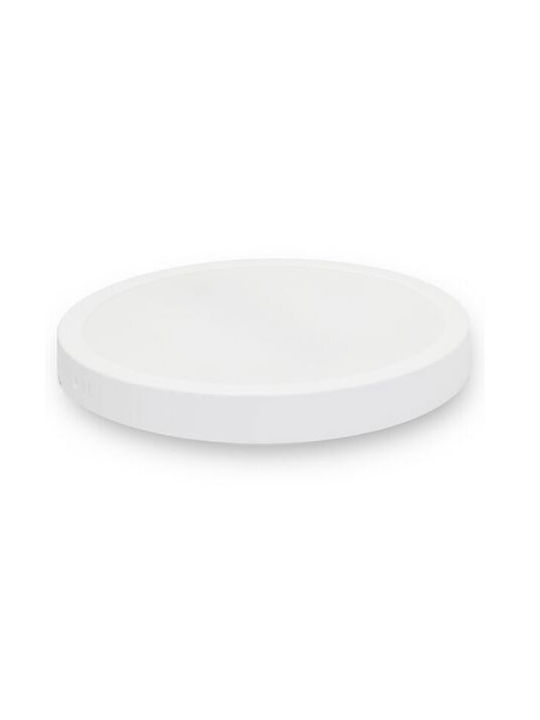 Adeleq Round Panou LED Putere 24W cu Cool White Lumini