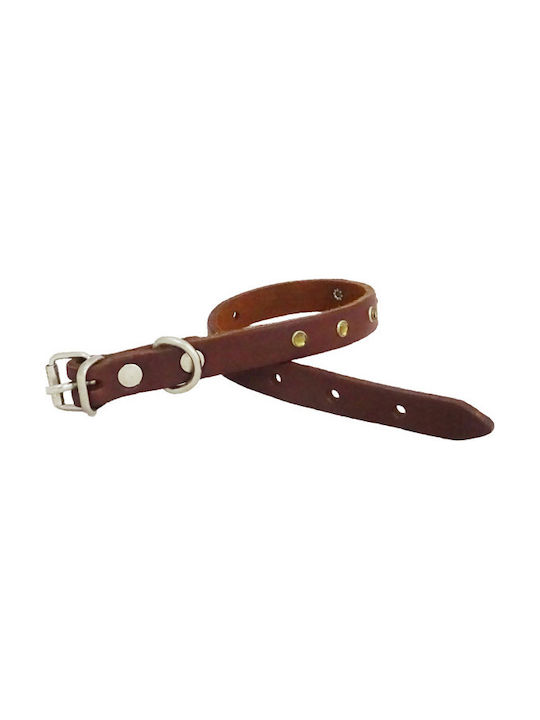 Petsi Dog Collar Leather in Yellow color 39cm