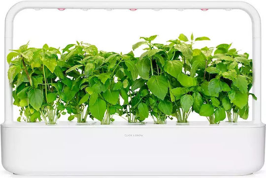 Click and Grow Σπόροι Βασιλικός 3τμχ