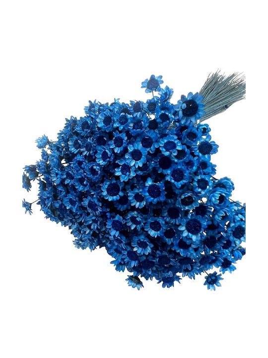 Dried Plant Blue 40cm 1pcs