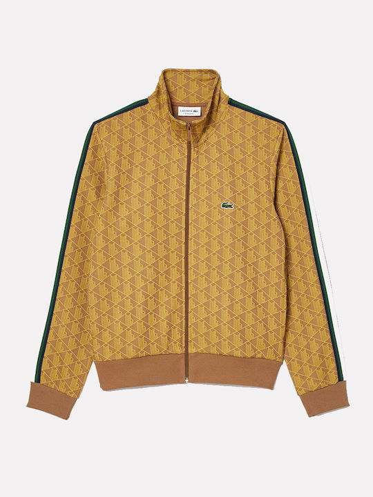 Paris Ζακέτα Mustard