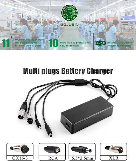 Charger for Electric Scooter GJS360-7200400