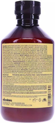 Davines Purifying Shampoos gegen Schuppen für Alle Haartypen 1x250ml