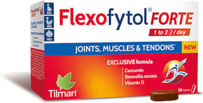Tilman Flexofytol Spezielles Nahrungsergänzungsmittel 28 Registerkarten