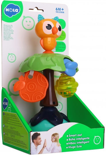 Hola Toys Tierchen Smart Owl mit Sounds für 6++ Monate