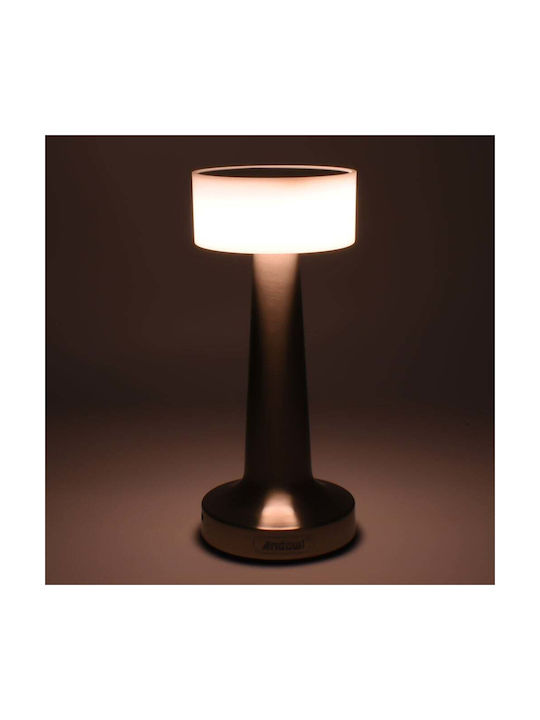 Andowl Dekorative Lampe Silber
