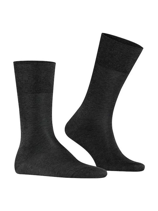 Falke Tiago Socks Black