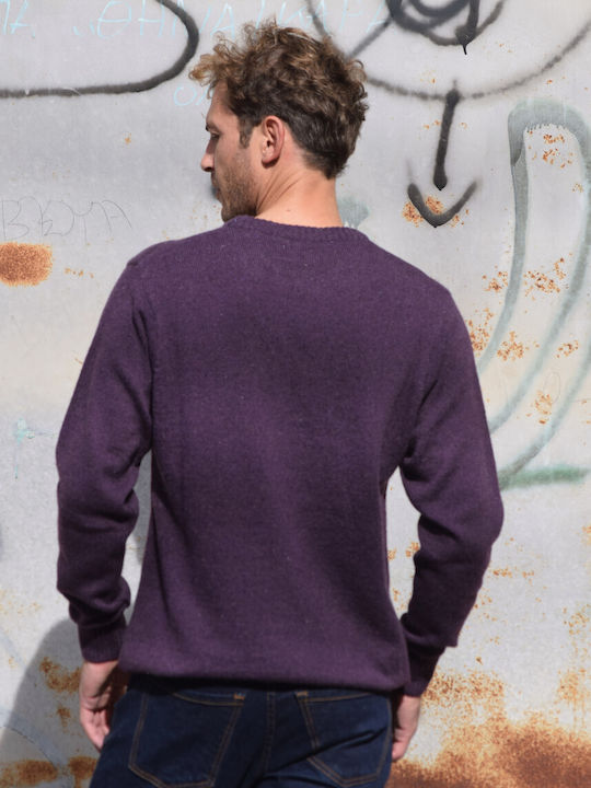 Cotton Green Men's Long Sleeve Sweater purple (code