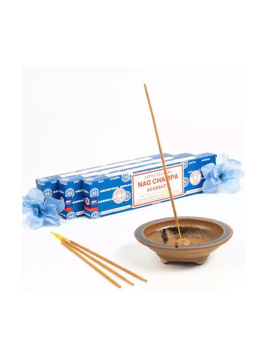 Satya Αρωματικά Sticks Champa 1040 40gr