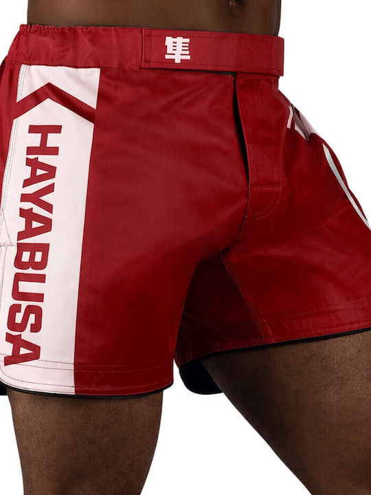 Hayabusa CHIKARA-4