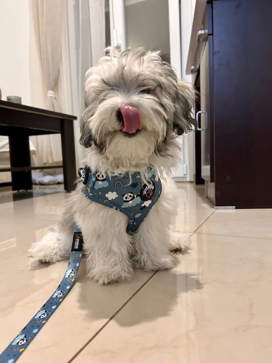 Loveboom Dog Harness LB-001