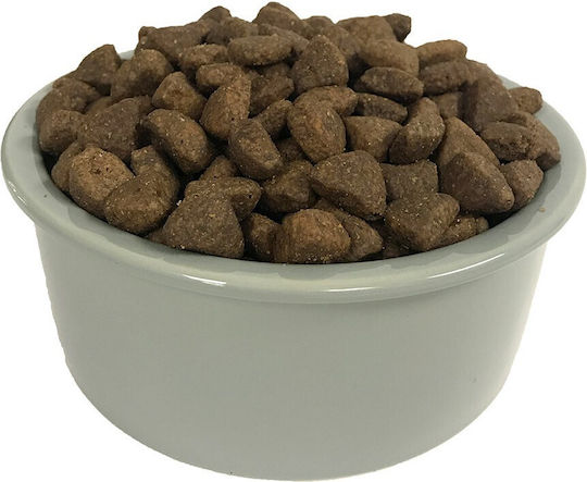 Wellness Wellness Core Large Breed Original 10kg Dry Food Grain-Free for Adult Large Breed Dogs with Turkey and Chicken