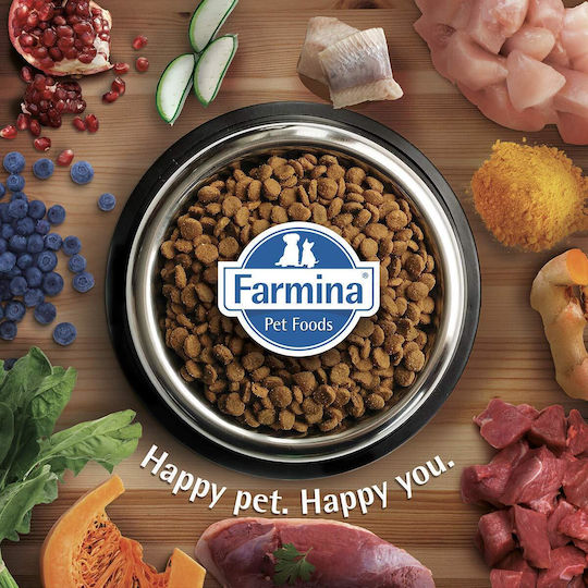 Farmina Lamb & Blueberry Adult Medium & Maxi 12kg Dry Food with Few Grains for Adult Medium & Large Breed Dogs with Lamb