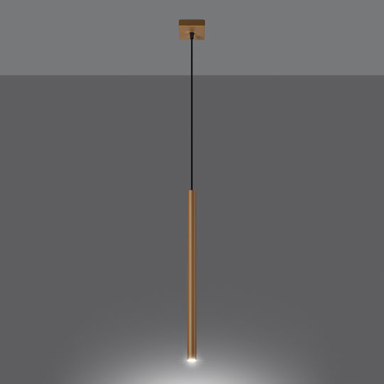 Sollux Pastelo Pendant Light Gold with Socket G9 8x8x120cm