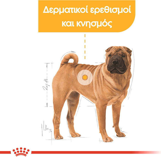 Royal Canin Dermacomfort Medium 3kg Dry Food Gluten-Free for Adult Medium Breed Dogs with Rice