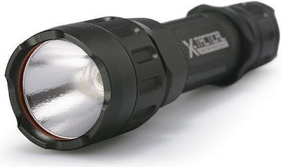 Maxlite LED
