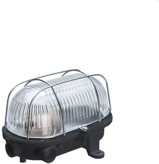 Vito MARINA-MG3 Χελώνα 19.5x13.5x11.5εκ. Vito MARINA-MG3 Χελώνα 19.5x13.5x11.5εκ.