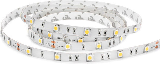 Lucas Αδιάβροχη Ταινία LED 12V Φυσικό Λευκό Φως 5m Τύπου SMD5050