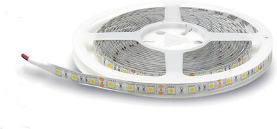 Lucas Wasserdicht LED Streifen Versorgung 12V mit Natürliches Weiß Licht Länge 5m und 30 LED pro Meter SMD5050