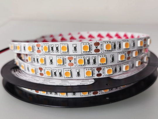 VK Lighting LED-Streifen 12V Lila Licht 5m Typ SMD5050