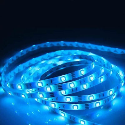Adeleq LED Streifen Versorgung 12V mit Blau Licht Länge 5m und 60 LED pro Meter SMD3528