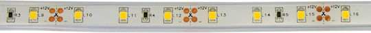 VK Lighting Waterproof LED Strip 12V Warm White Light 5m Type SMD3528