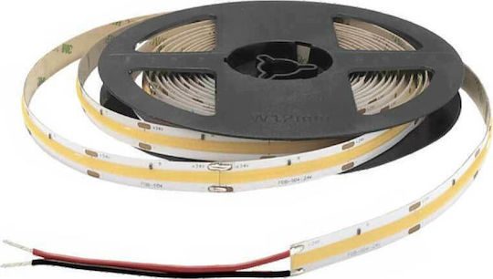 Cubalux LED Strip 12V Cold White Light 5m Type SMD2835