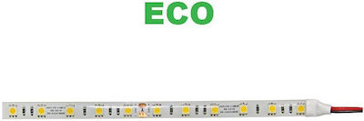 Adeleq LED Streifen Versorgung 12V mit Blau Licht Länge 5m und 30 LED pro Meter SMD5050