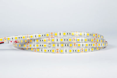 VK Lighting Bandă LED Alimentare 12V cu Lumină Galben Lungime 5m și 60 LED-uri pe Metru SMD5050