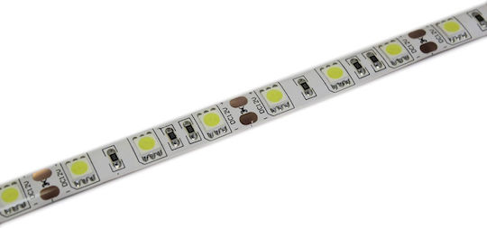 Lucas Αδιάβροχη Ταινία LED 12V Ψυχρό Λευκό Φως 5m Τύπου SMD5050