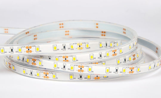 VK Lighting Waterproof LED Strip 24V Warm White Light 5m Type SMD3528