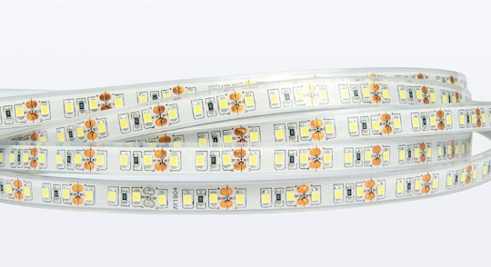 VK Lighting Waterproof LED Strip 12V Warm White Light 5m Type SMD3528