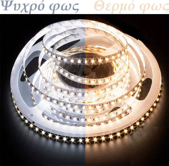 Adeleq LED-Streifen 24V Warmes Weiß Licht 5m Typ SMD3528