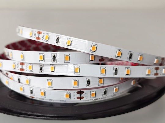 VK Lighting LED Strip 24V Warm White Light 5m Type SMD3528